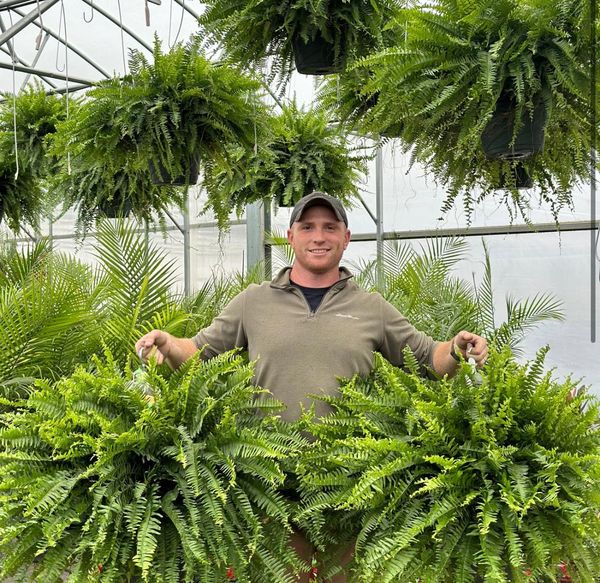🔥BUY 1 GET 1 FREE (2 PCS)🔥48Inch Large UV Artificial Ferns With Basket--No watering, No fading