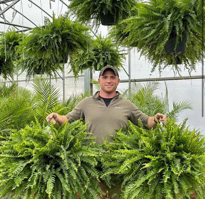 🔥BUY 1 GET 1 FREE (2 PCS)🔥48Inch Large UV Artificial Ferns With Basket--No watering, No fading