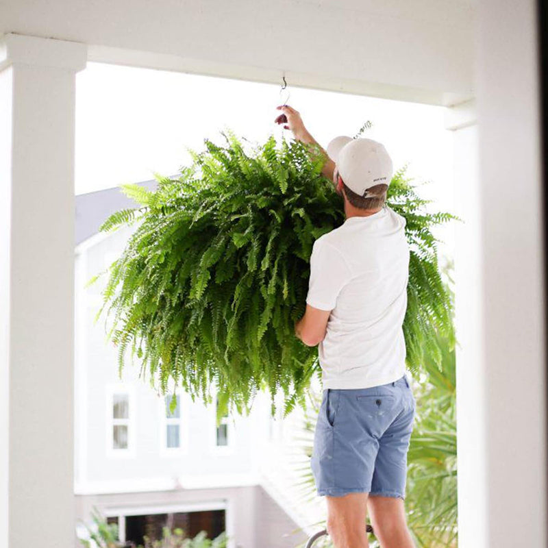 🔥BUY 1 GET 1 FREE (2 PCS)🔥48Inch Large UV Artificial Ferns With Basket--No watering, No fading